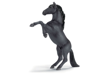 SC13624  Mustang Stallion Reared Black
