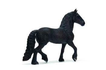 SC13667 Friesian Stallion