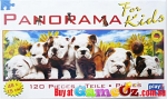 Panorama For Kids: Bulldog Puppies