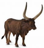 Ankole Watusi Bull