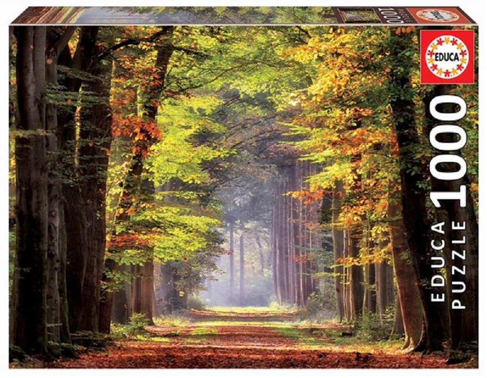 Autumn Walkway