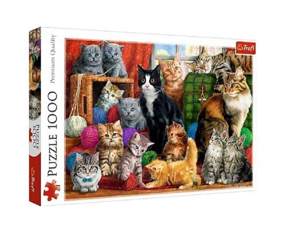 Feline Meeting  (1)