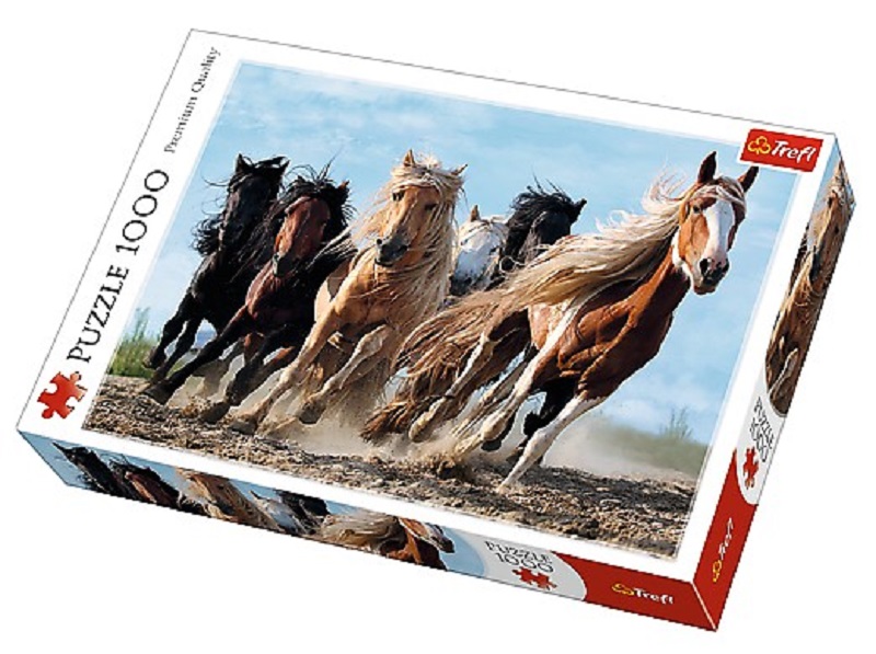 Galloping Horses