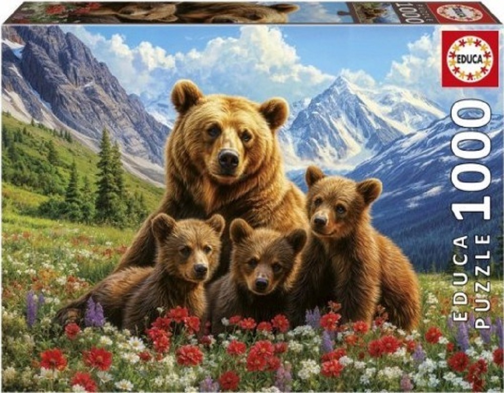 Grizzly Bears In Canada
