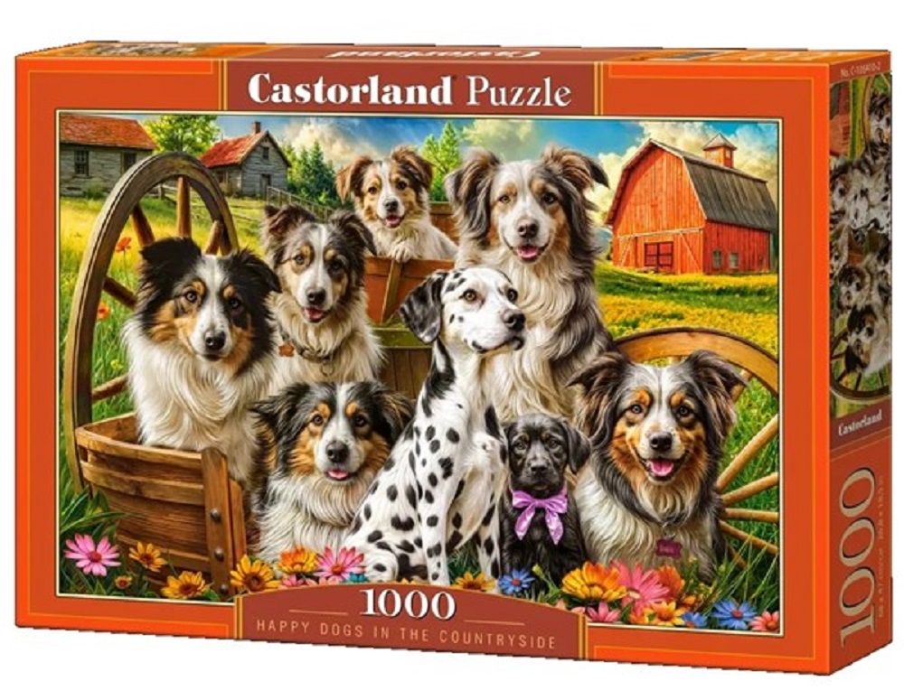 Happy Dogs In The Countryside