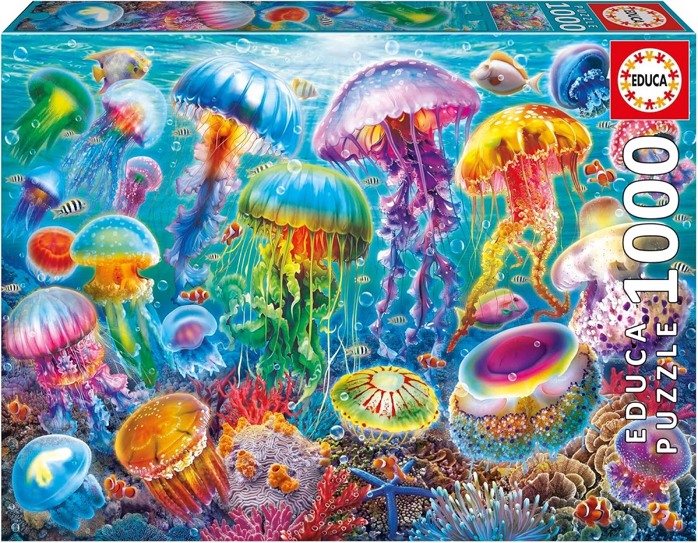 Jellyfish