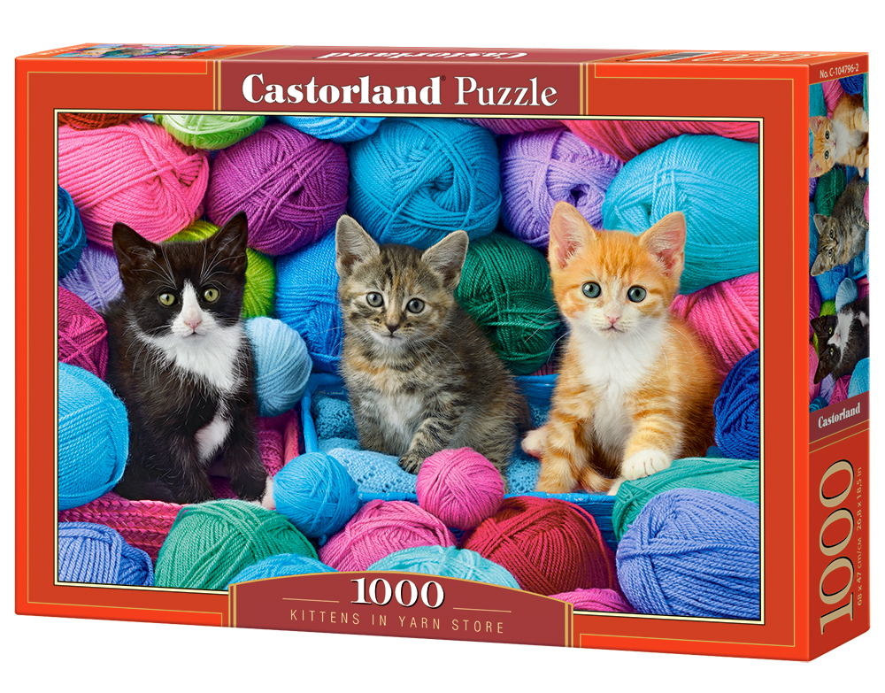 Kittens In A Yarn Store (1)