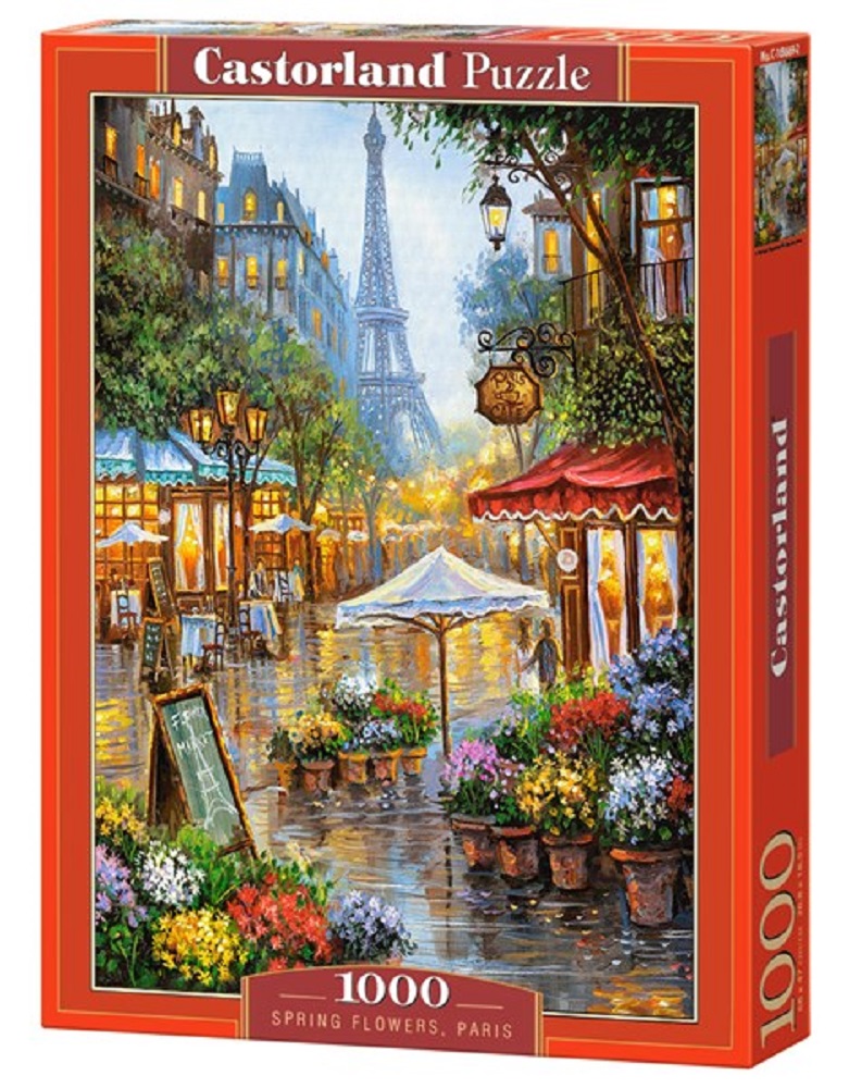 Spring Flowers, Paris