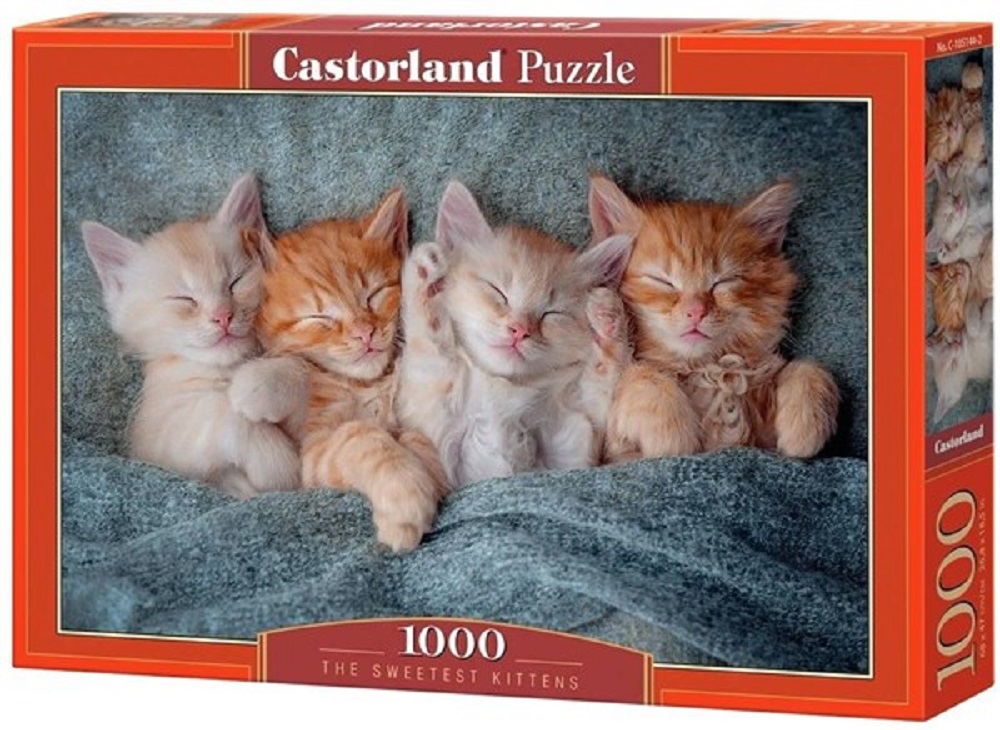 The Sweetest Kittens