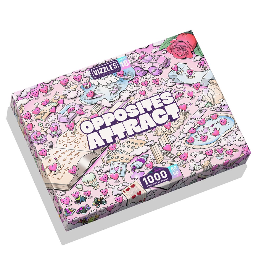 Vizzles Visual Puzzles - Opposites Attract