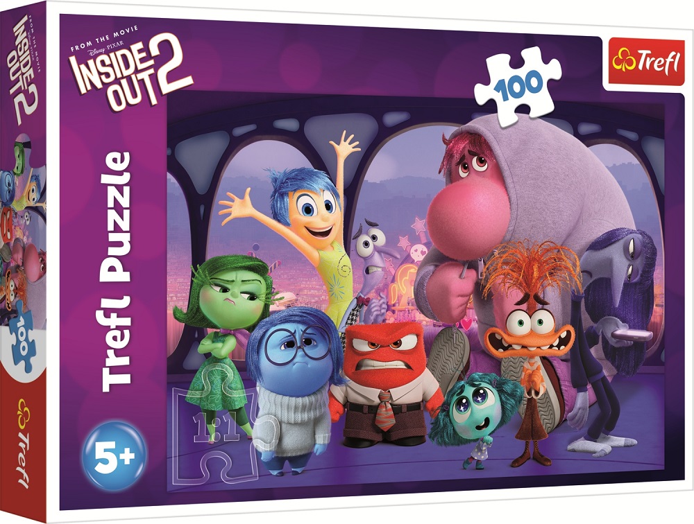 Disney Inside Out 2 (2)