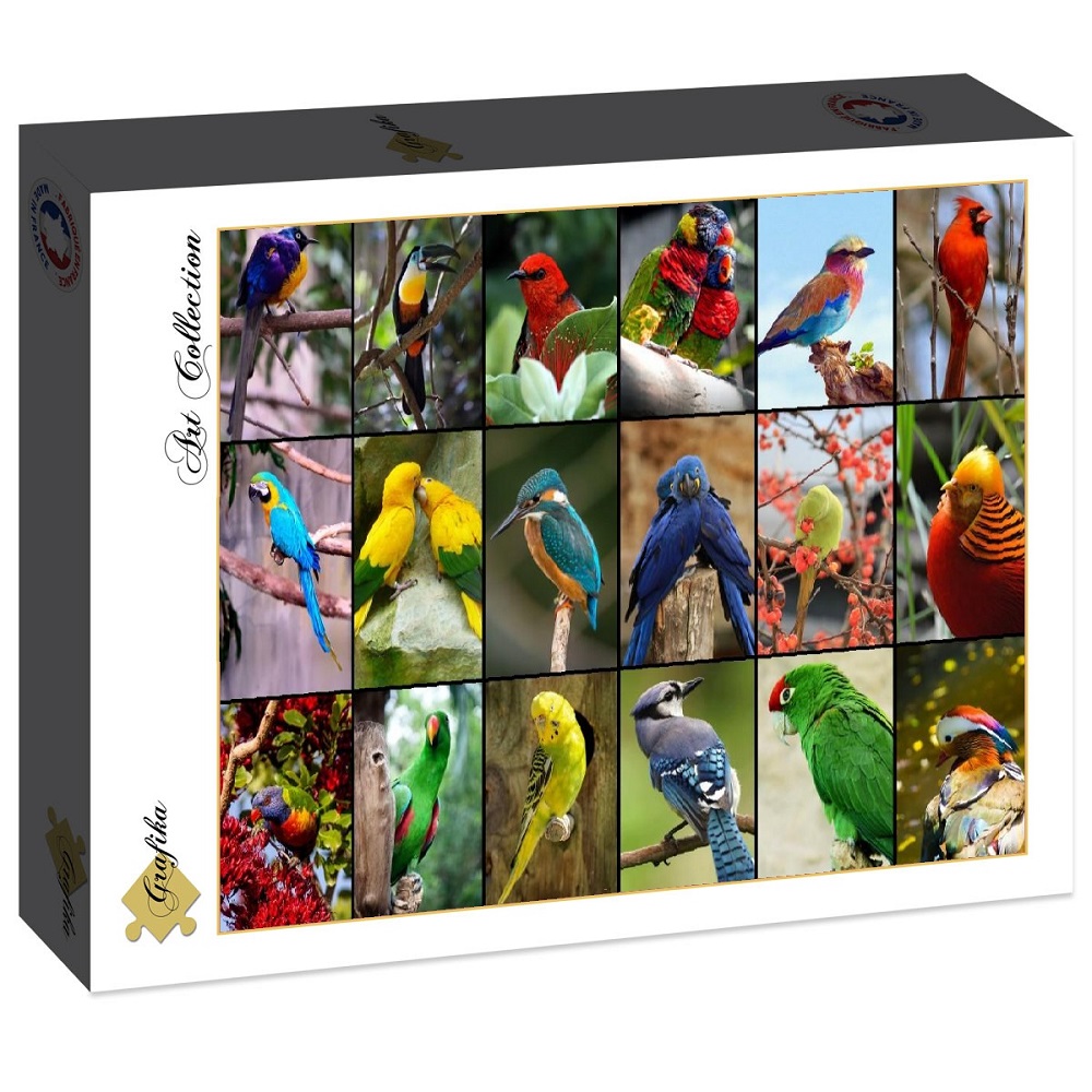 The World's Most Beautiful Birds