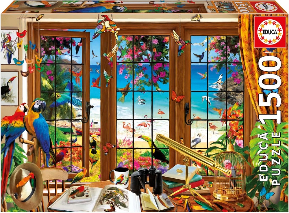 Bird Watchers Window