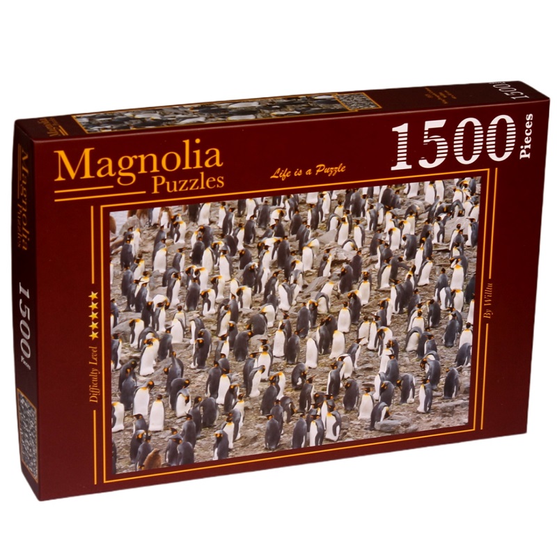 King Penguin Colony