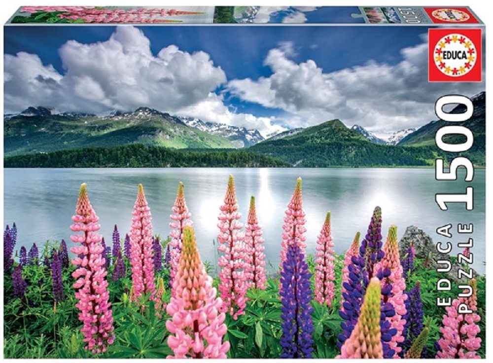 Lupins On The Shores Of Lake Sils, Switzerland