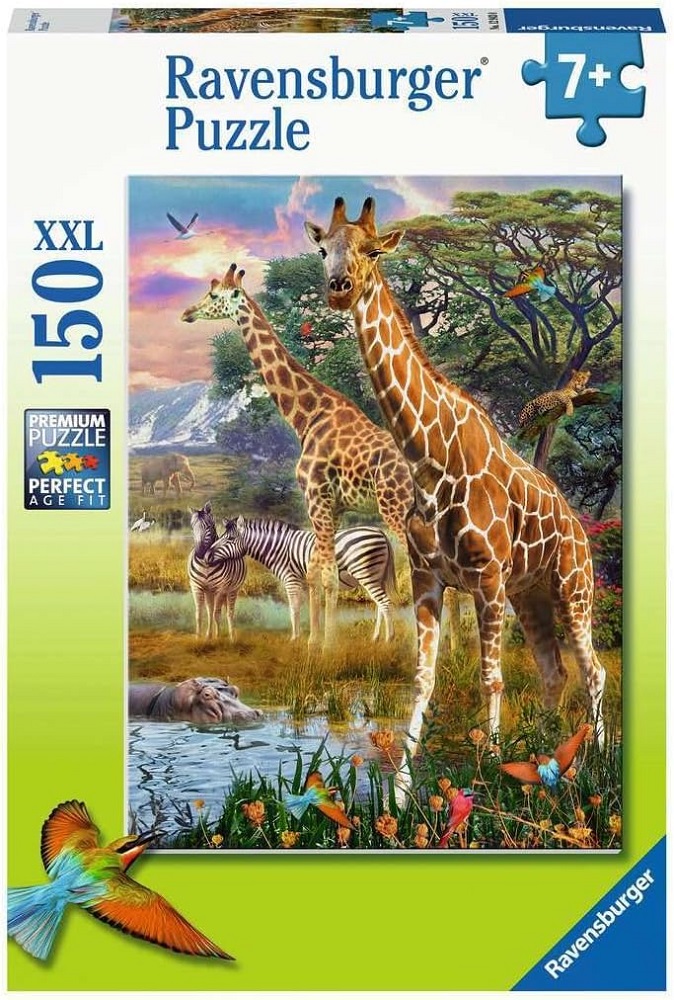 Giraffes In Africa
