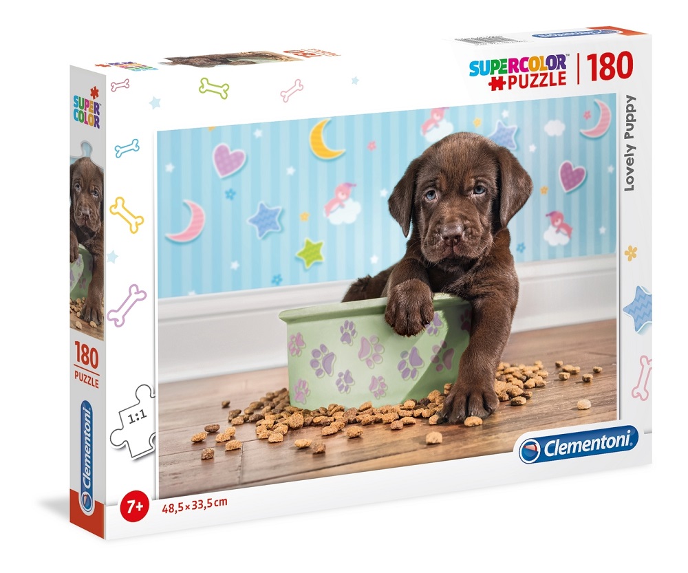 Lovely Puppy