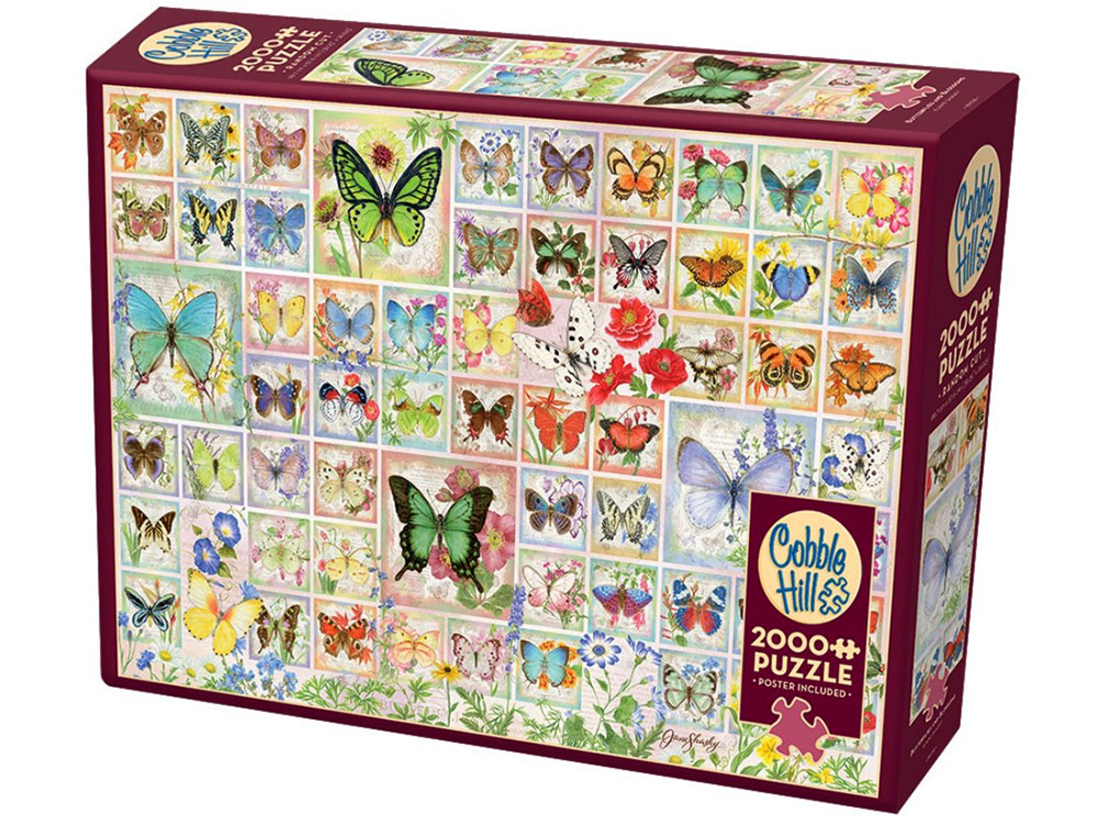 Butterflies & Blossoms 