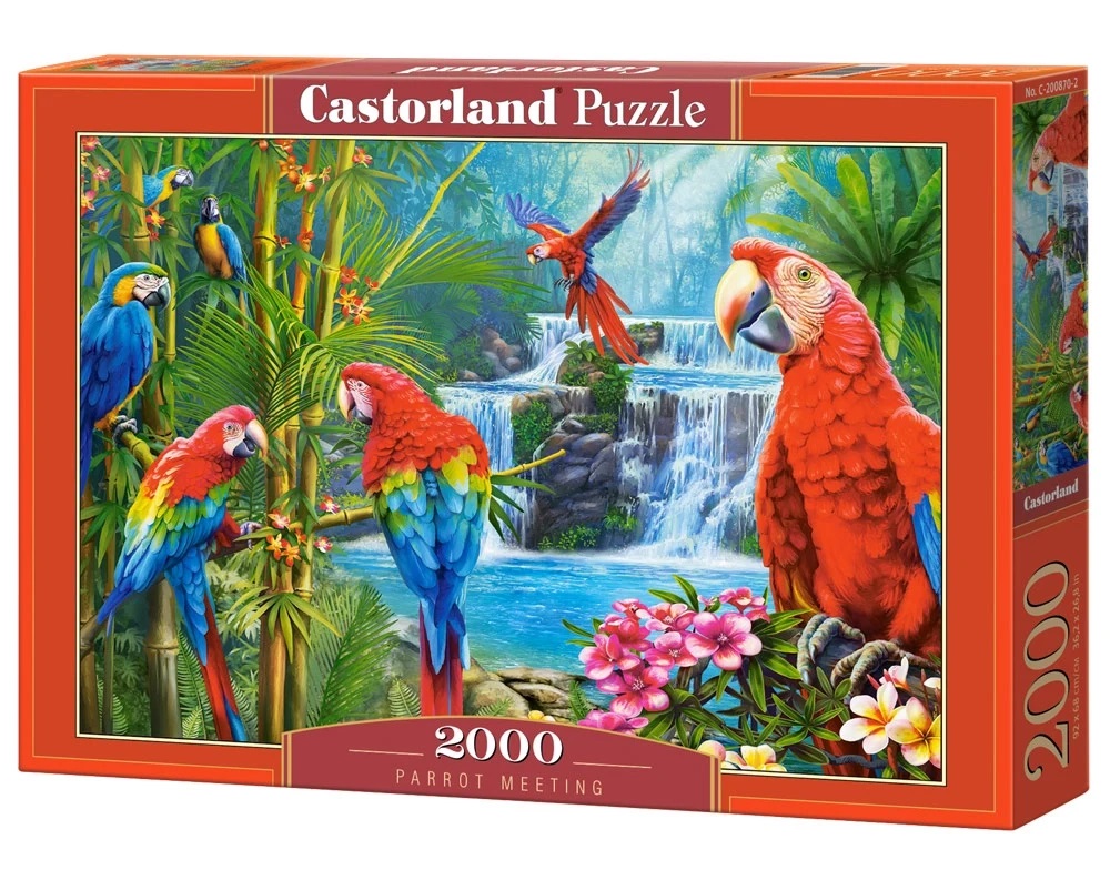 Parrot Meeting