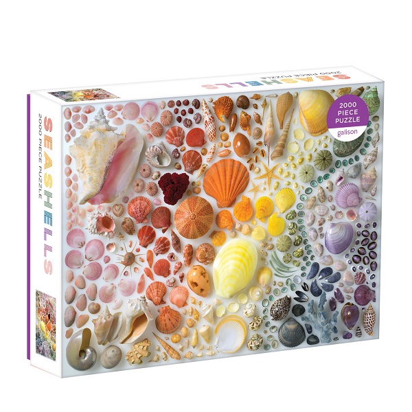 Rainbow Seashells