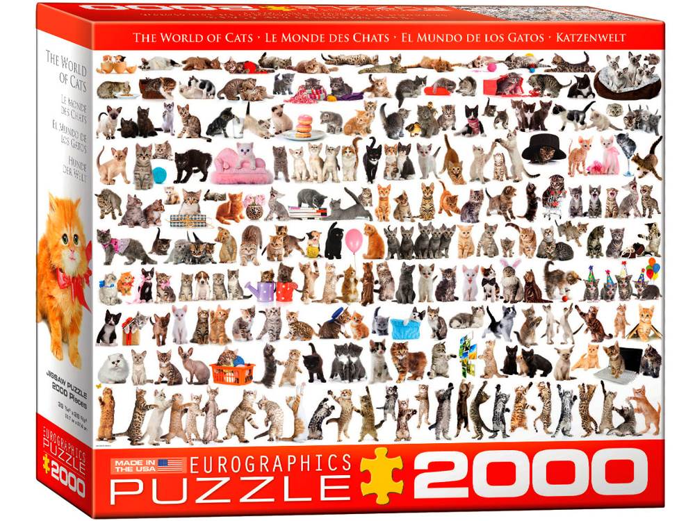 The World Of Cats 2000