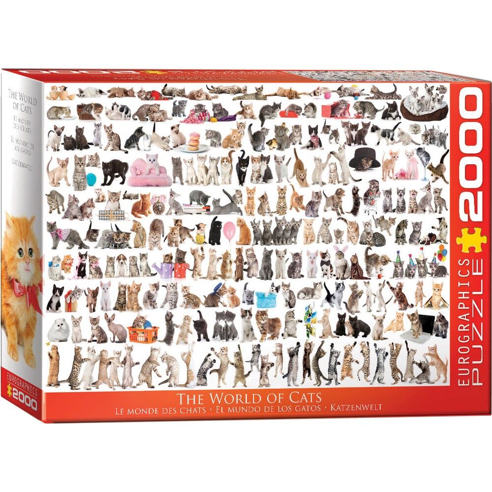 The World Of Cats 2000 Pieces