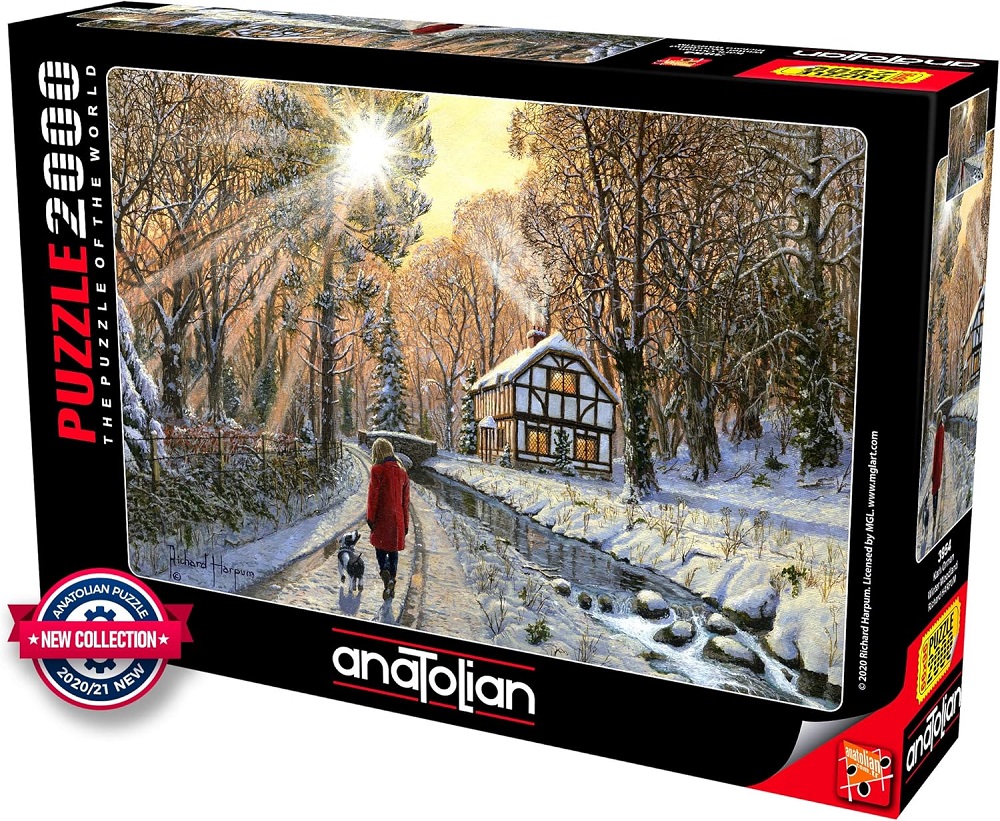 Winter Woodland