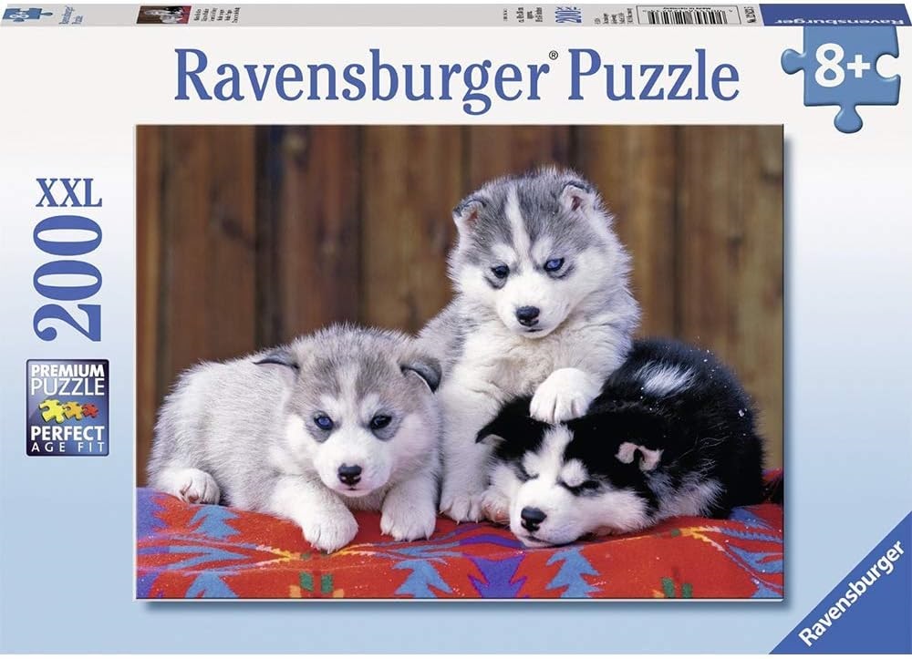 Husky Puppies