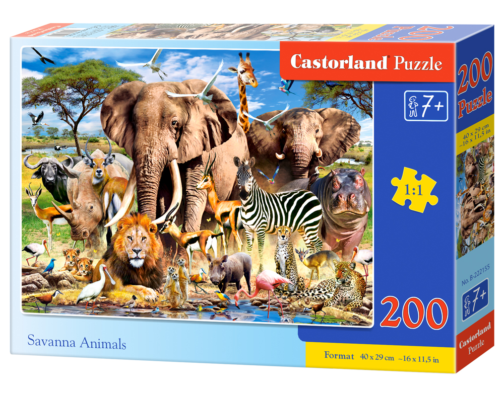 Savanna Animals (1)
