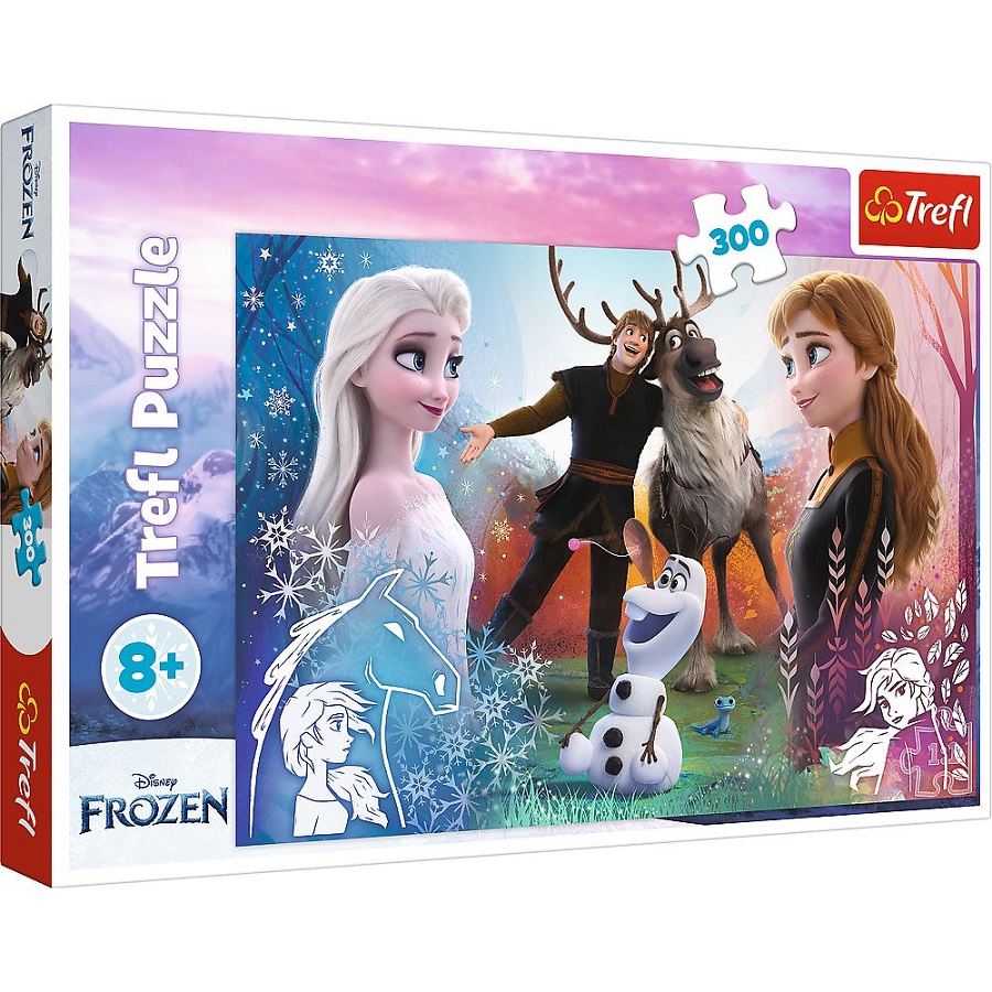Disney Frozen