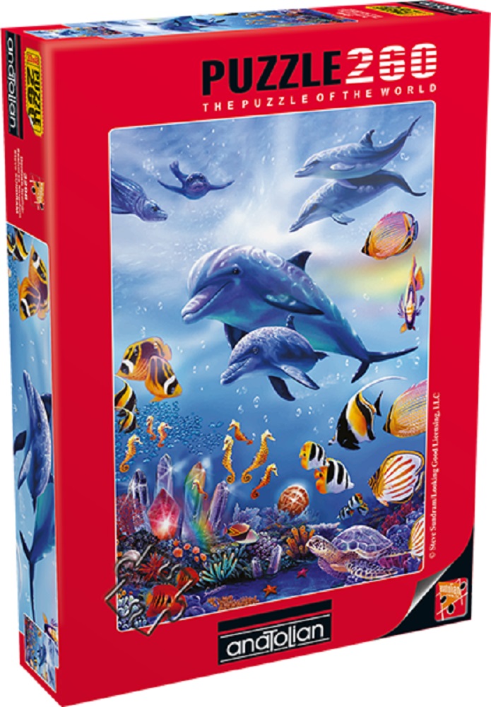 Seahorse Kingdom