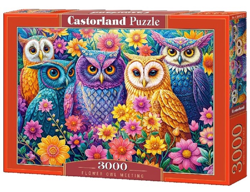 Flower Owl Meeting