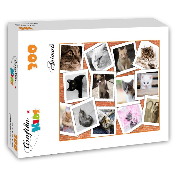 Cats Collage 300