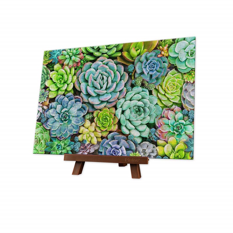 368P Succulent Wall