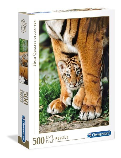 Bengal Tiger Cub