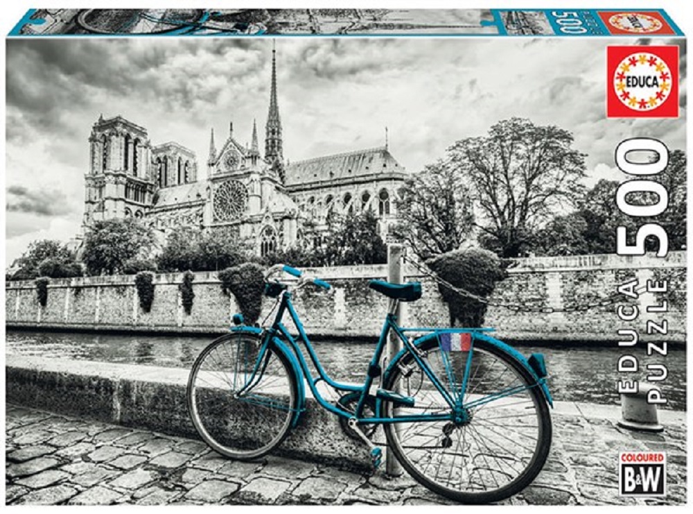 Bike Near Notre Dame