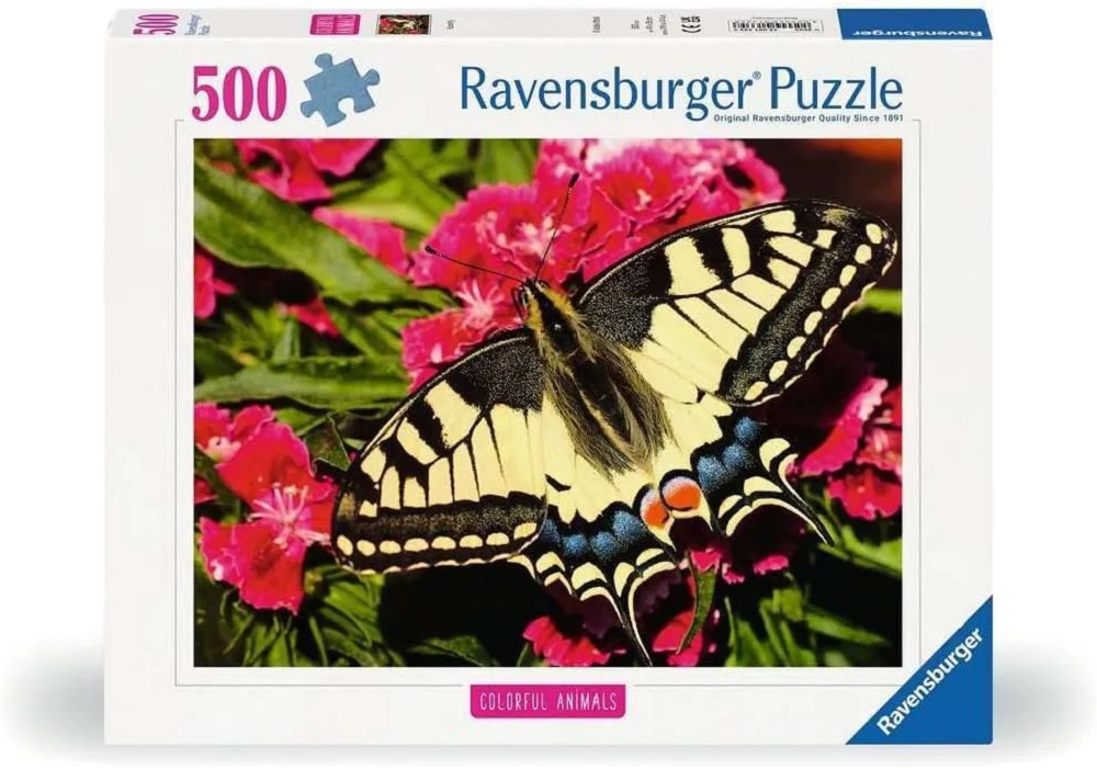 Colourful Animals - Butterfly