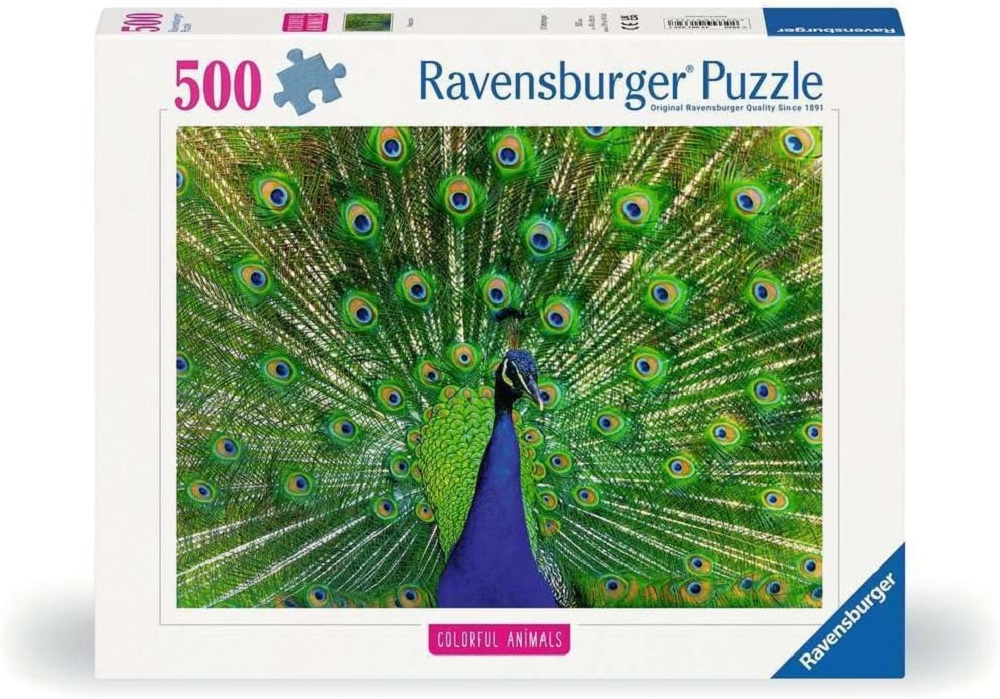 Colourful Animals - Peacock