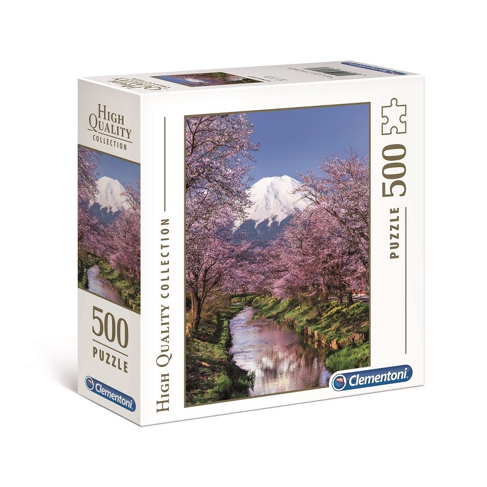 Fuji Mountain