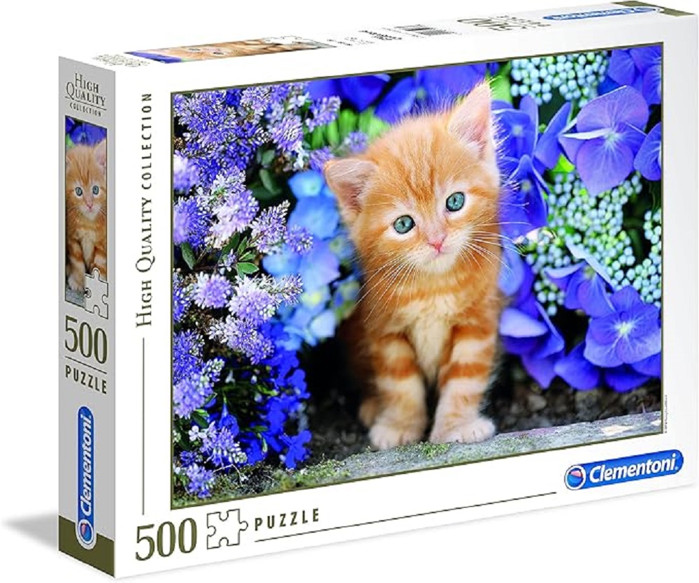 Ginger Cat