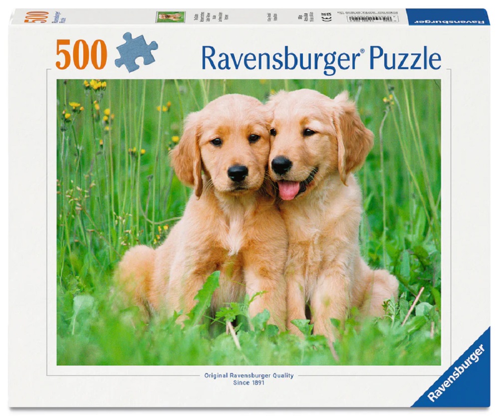 The Golden Retriever Brothers 500  (ETA Unknown)