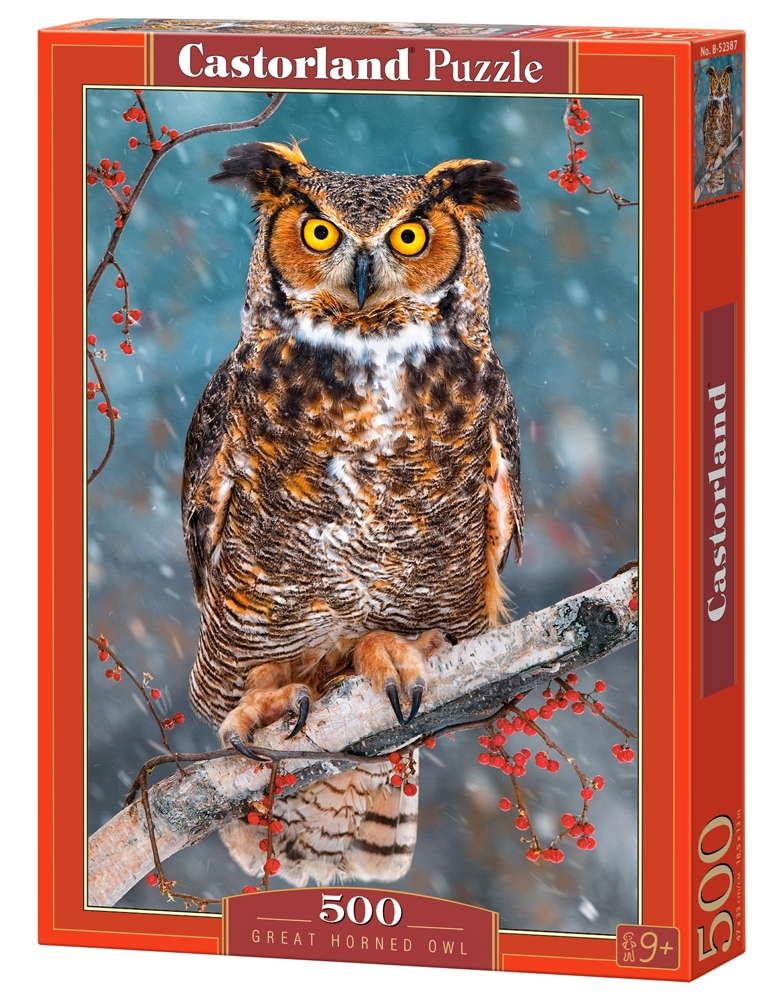 Great Horned Owl