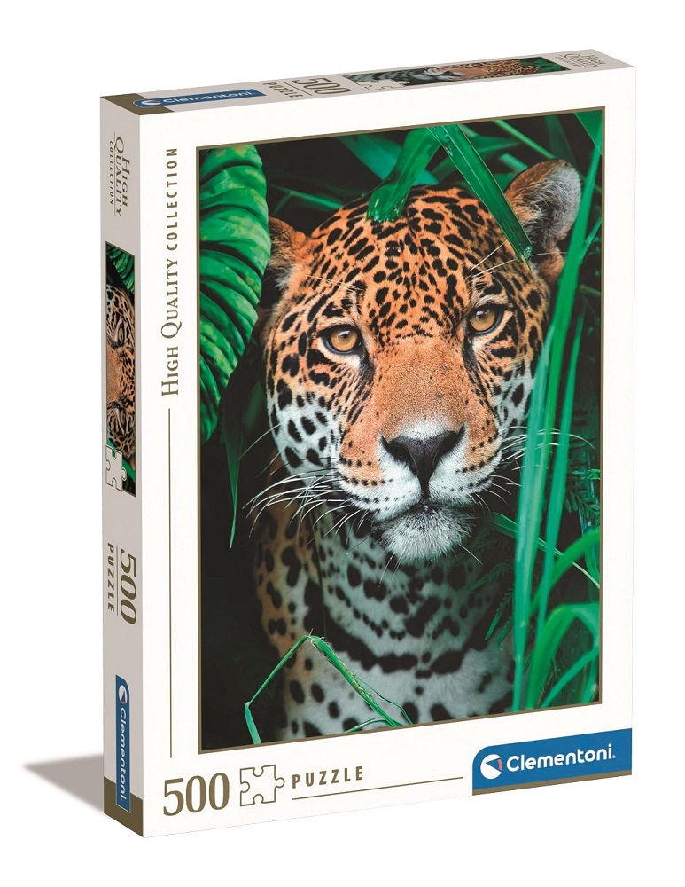 Jaguar In The Jungle