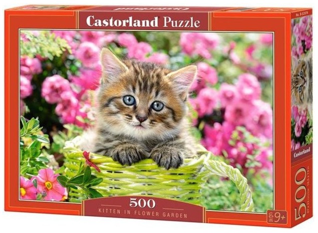 Kitten In Flower Garden