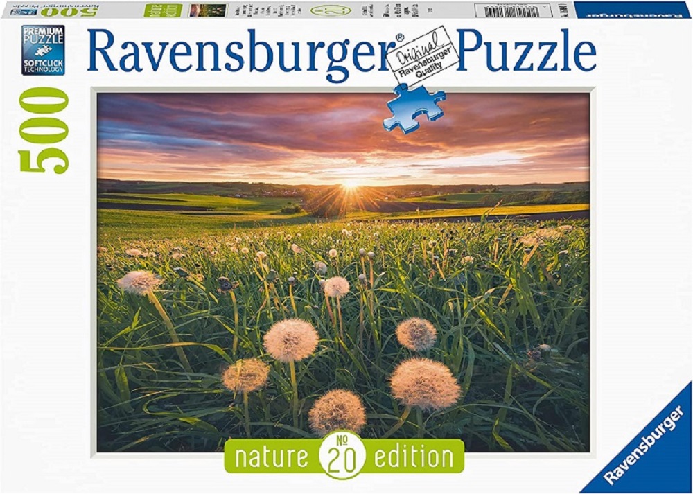 Nature Edition - Dandelions At Sunset