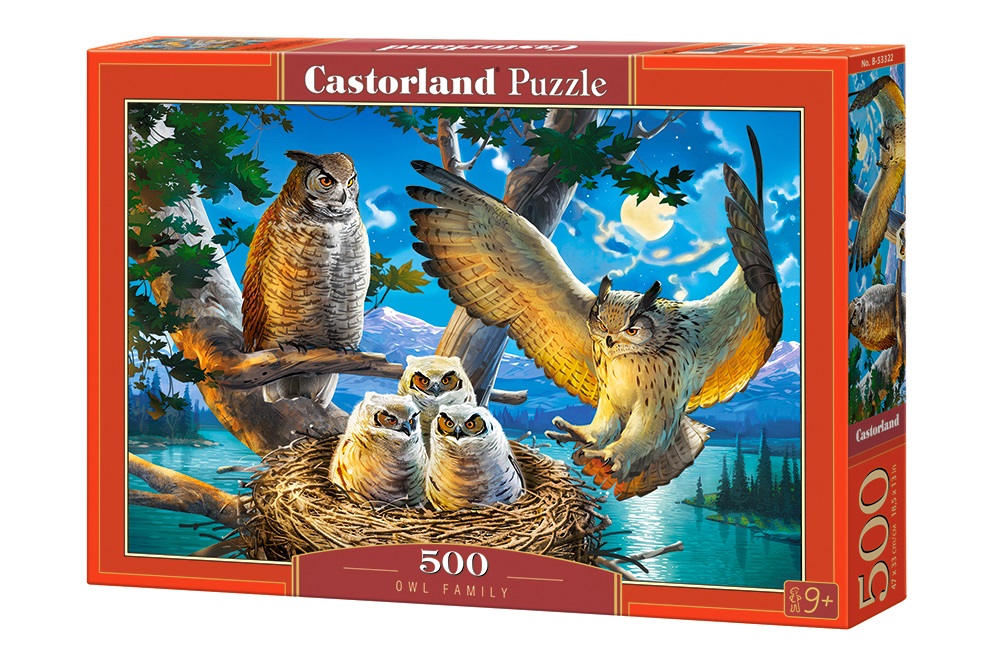 Owl Family