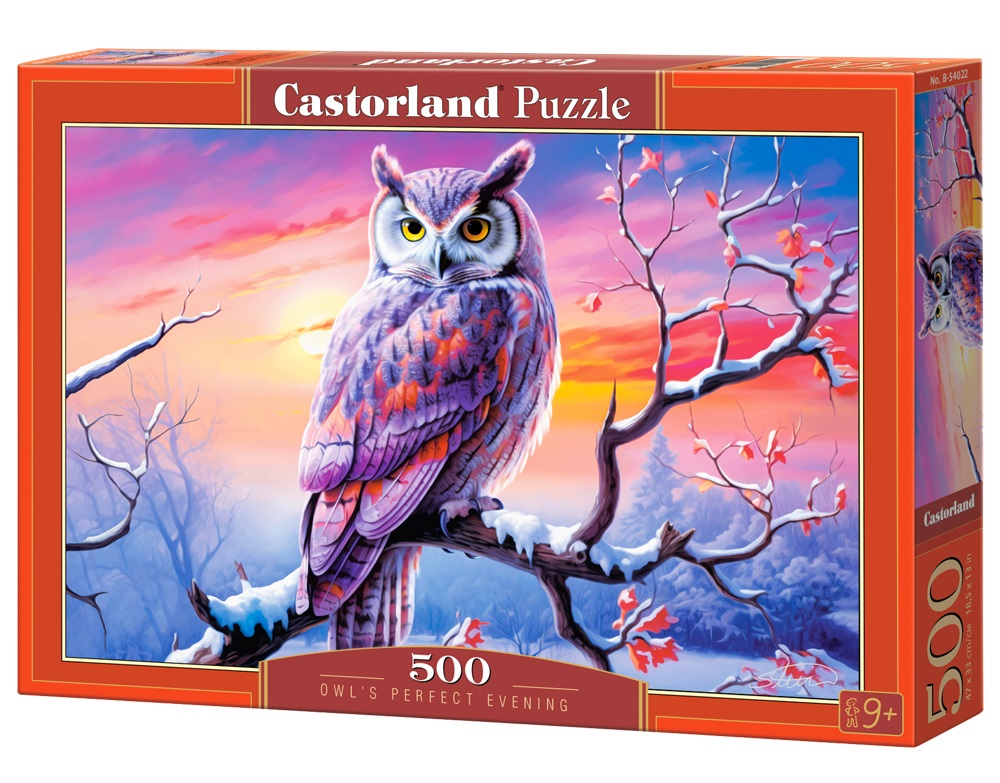 Owl's Perfect Evening 