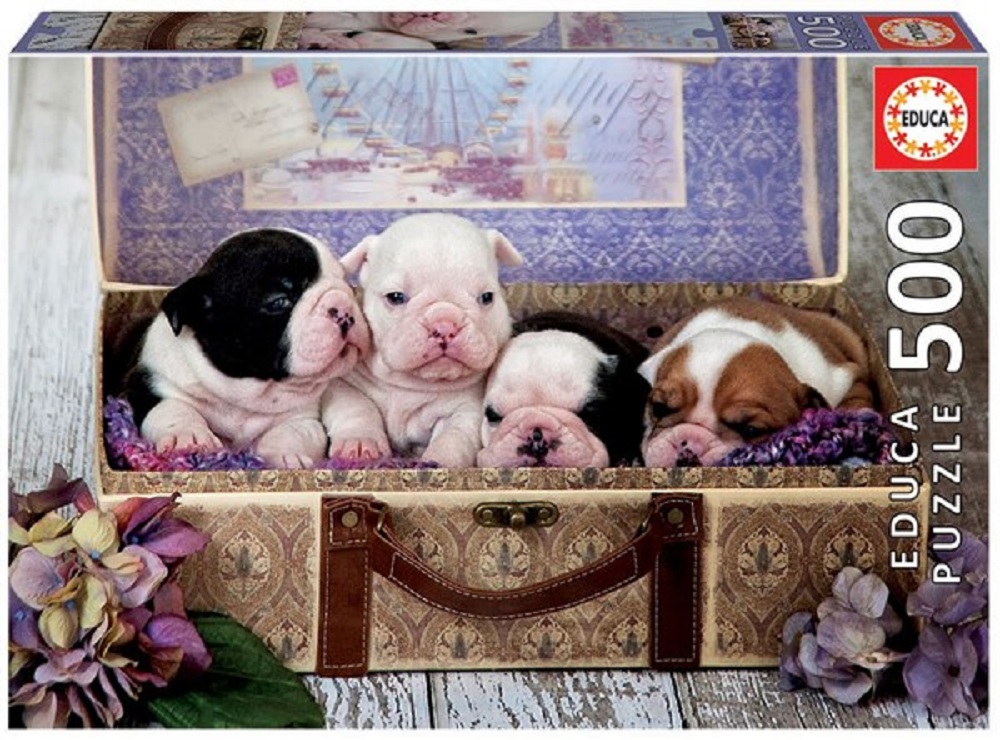 Puppies