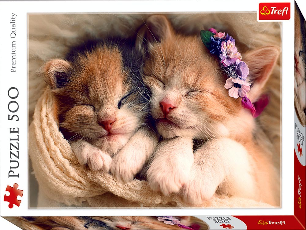 Sleeping Kittens