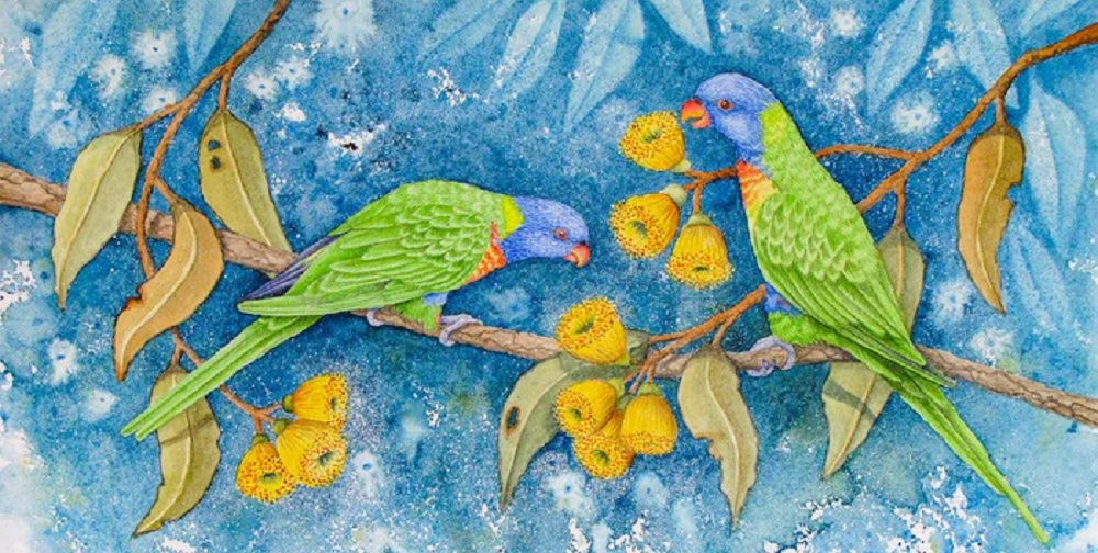 Rainbow Lorikeets